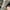 LOUIS VUITTON TRAINER WHITE LEATHER SNEAKERS , LOUIS VUITTON photo 6