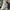 LOUIS VUITTON TRAINER WHITE LEATHER SNEAKERS , LOUIS VUITTON photo 7