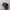 oncloud photo 2