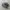 adidas gazele photo 1