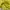 yellow mesh dress photo 4