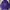 Ben Davis Minimalist Hoody Pria purple photo 2