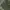 Patagonia Byway Seaweed Green Long Pants photo 6