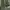 Patagonia Byway Seaweed Green Long Pants photo 3