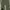 Patagonia Byway Seaweed Green Long Pants photo 4