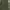 Patagonia Byway Seaweed Green Long Pants photo 8
