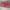 Y2K pink victoryas secret short pants photo 4