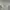 Vintage Minimalist Cardigan Wanita white photo 3