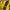 Jersey Home DORTMUND 2012-2013 Longsleeve photo 6