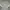 Vintage Y2K Shirt Wanita white photo 3