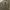 Olive Green Choco Raffine Barel Cotton Chino Pants photo 3