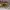 Sylvanian Families House photo 2