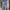hollister jumpsuit navy (new) photo 2