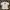 TSHIRT PATAGONIA