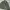 Columbia Y2K Sportswear Puffer jacket Pria green photo 4