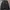 CEOCODILE jaket windbreaker photo 1