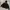 Beams Vintage Hoody Pria black photo 2