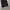 Comgen one tuck wide pants photo 5