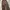 Aura jeans brown wide baggy pants photo 2