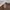 Aura jeans brown wide baggy pants photo 7