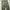 Korean army herringbone fatigue pants photo 4