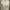 Taupe Cream Pearl-Button Ribbed Cardigan photo 3