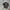 Yohji Yamamoto Trucker Cap Sunfaded Black Unisex  photo 7