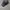 Yohji Yamamoto Trucker Cap Sunfaded Black Unisex  photo 2