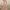 Soft Peachy Pink Ditsy Floral Chiffon Maxi Dress | Bunga photo 2