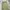 Lafudge store one tuck wide linen pants photo 4