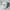 Nike Y2K Sportswear Hat Pria white photo 1