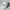 Nike Y2K Sportswear Hat Pria White