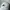 Nike Y2K Sportswear Hat Pria white photo 2