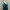 Teal Satin Ruffle Midi Dress photo 2