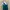 Teal Satin Ruffle Midi Dress