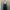 Teal Satin Ruffle Midi Dress photo 5