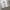 888Seconds one tuck wide denim pants photo 5