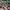 LOUIS VUITTON TRAINER RED MESH VELCRO , LOUIS VUITTON SNEAKE photo 4