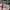 LOUIS VUITTON TRAINER RED MESH VELCRO , LOUIS VUITTON SNEAKE photo 5