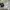 Nike ACG Gorpcore Sportswear Short Pria cream photo 7