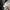 Adidas X Rita Ora track top sleeveless photo 7