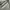 Jeans Blue Tint Green Cutbray CHN photo 5