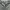 Jeans Blue Tint Green Cutbray CHN photo 3