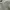 Jeans Blue Tint Green Cutbray CHN photo 4