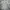 Adidas Mexico Away Jersey 2023 photo 1
