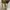 Rare Converse x John Varvatos Camo Double Zipper Original photo 7