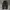 Xernobr Parachute Baggy Pants photo 6