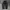 Xernobr Parachute Baggy Pants photo 1