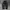 Xernobr Parachute Baggy Pants