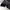 Xernobr Parachute Baggy Pants photo 3